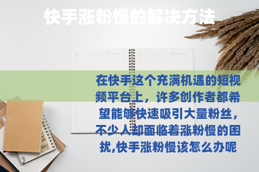 快手涨粉慢的解决方法