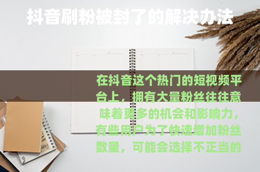 抖音刷粉被封了的解决办法