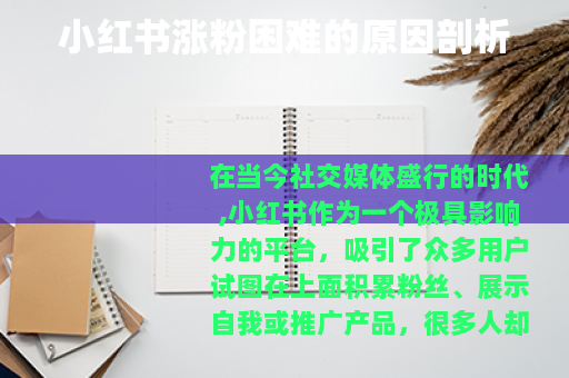 小红书涨粉困难的原因剖析