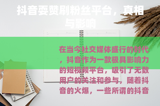 抖音耍赞刷粉丝平台，真相与影响
