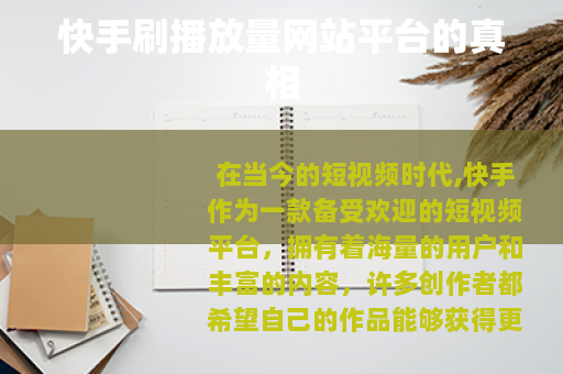 快手刷播放量网站平台的真相