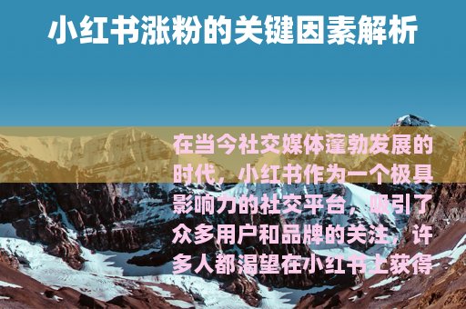 小红书涨粉的关键因素解析