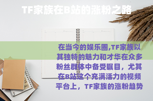 TF家族在B站的涨粉之路