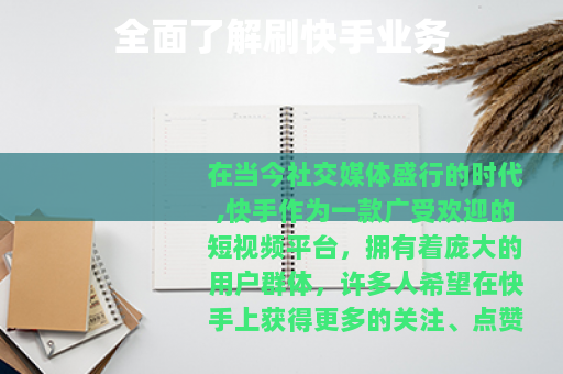 全面了解刷快手业务