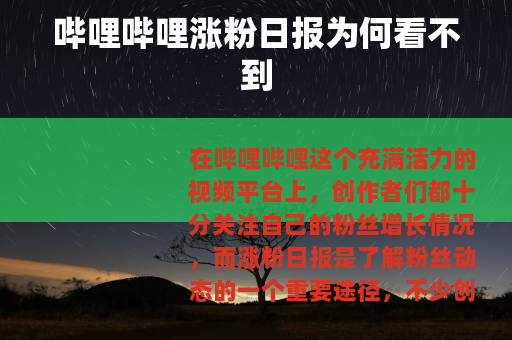 哔哩哔哩涨粉日报为何看不到
