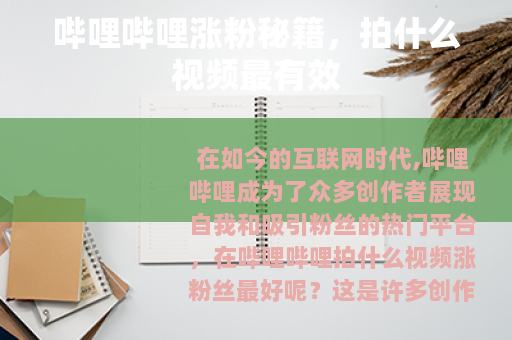 哔哩哔哩涨粉秘籍，拍什么视频最有效