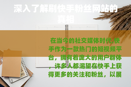深入了解刷快手粉丝网站的真相