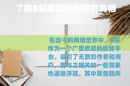 了解B站播放代刷网的真相