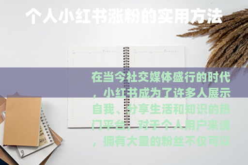 个人小红书涨粉的实用方法