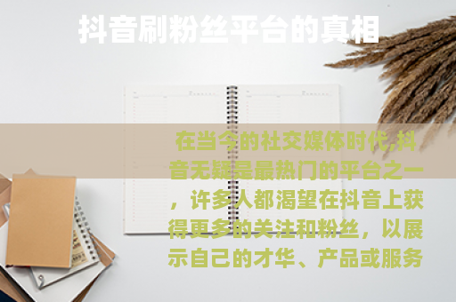 抖音刷粉丝平台的真相