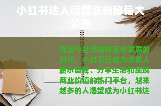 小红书达人运营涨粉秘籍大公开