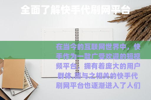 全面了解快手代刷网平台