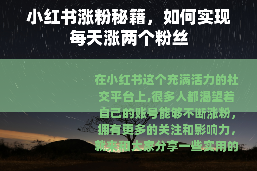 小红书涨粉秘籍，如何实现每天涨两个粉丝