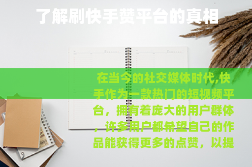了解刷快手赞平台的真相