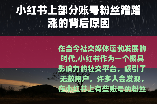 小红书上部分账号粉丝蹭蹭涨的背后原因