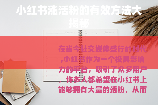 小红书涨活粉的有效方法大揭秘