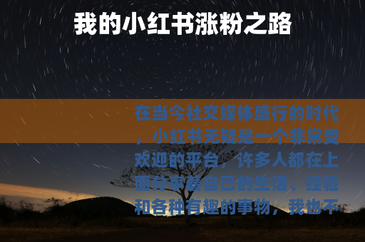我的小红书涨粉之路 我的小红书涨粉之路