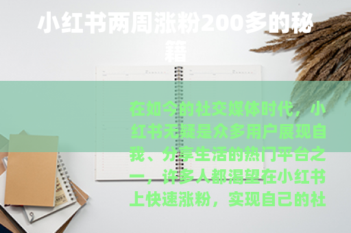 小红书两周涨粉200多的秘籍