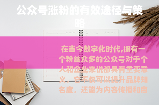 公众号涨粉的有效途径与策略