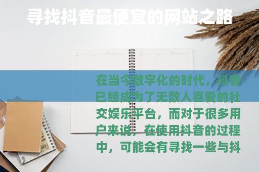 寻找抖音最便宜的网站之路