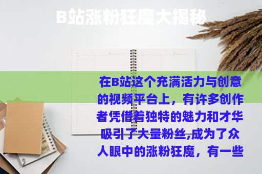 B站涨粉狂魔大揭秘