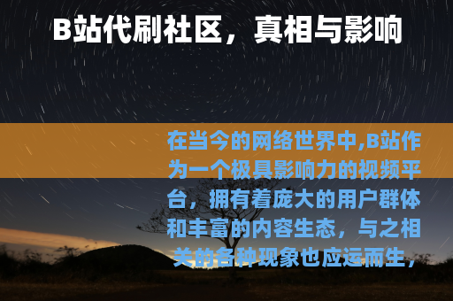 B站代刷社区，真相与影响