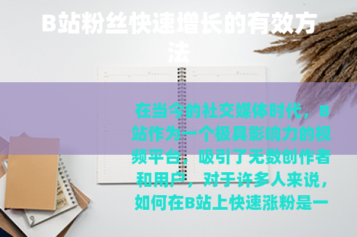 B站粉丝快速增长的有效方法