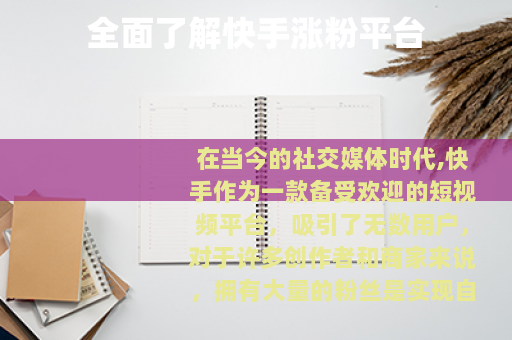 全面了解快手涨粉平台