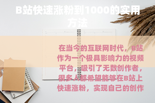 B站快速涨粉到1000的实用方法