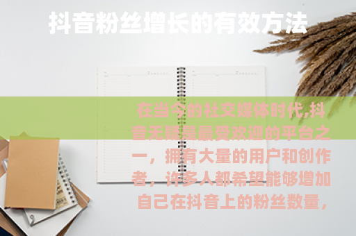 抖音粉丝增长的有效方法 抖音粉丝增长的有效方法