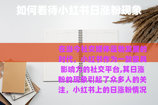 如何看待小红书日涨粉现象