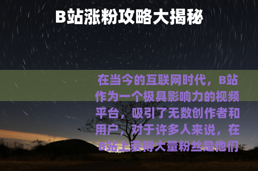 B站涨粉攻略大揭秘