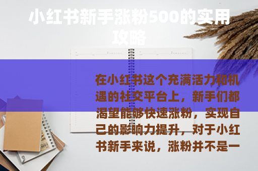 小红书新手涨粉500的实用攻略