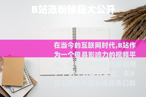 B站涨粉秘籍大公开