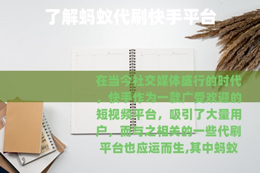 了解蚂蚁代刷快手平台