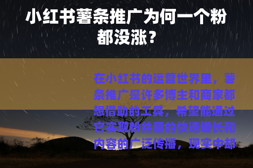 小红书薯条推广为何一个粉都没涨？