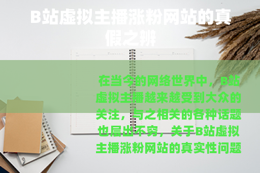 B站虚拟主播涨粉网站的真假之辨
