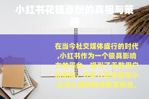 小红书花钱涨粉的真相与策略