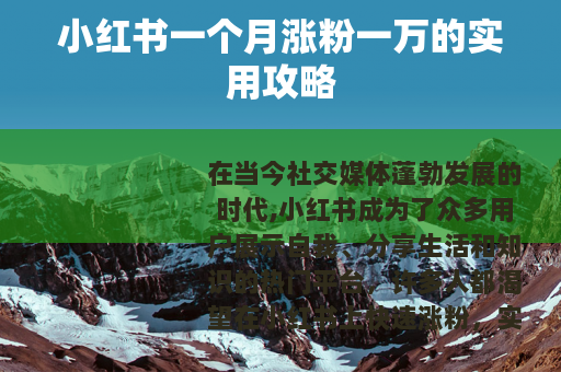 小红书一个月涨粉一万的实用攻略