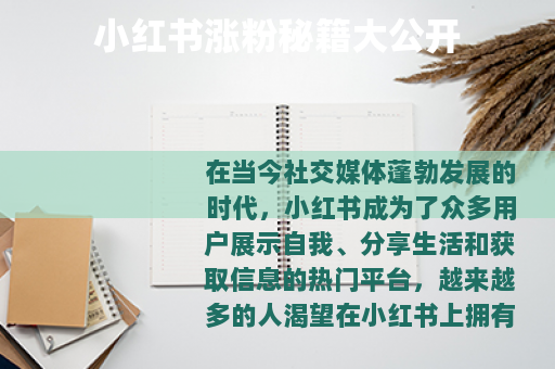 小红书涨粉秘籍大公开