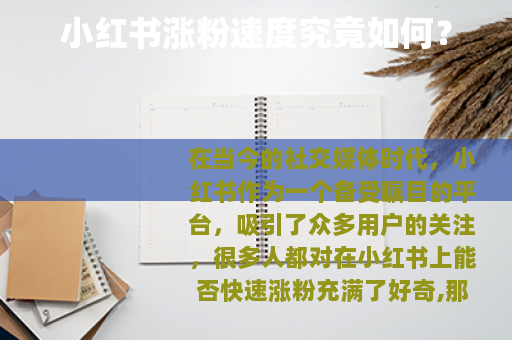 小红书涨粉速度究竟如何？
