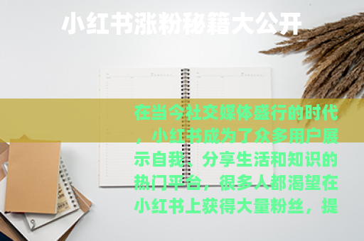 小红书涨粉秘籍大公开