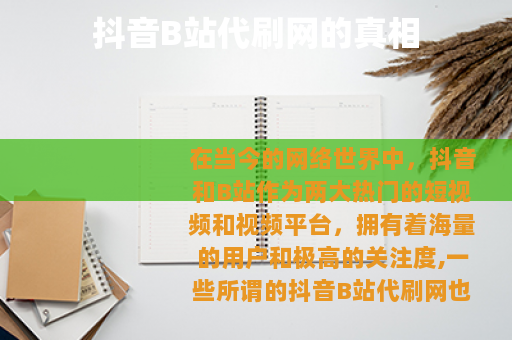 抖音B站代刷网的真相