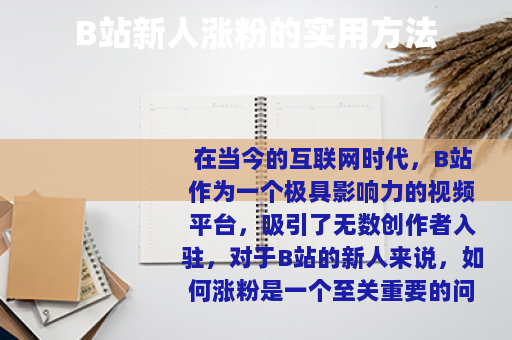 B站新人涨粉的实用方法