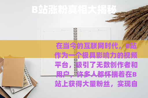 B站涨粉真相大揭秘