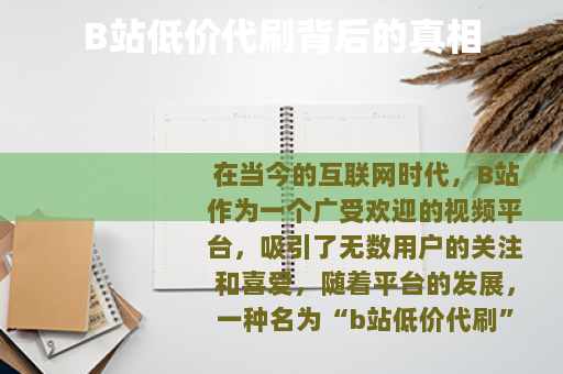 B站低价代刷背后的真相
