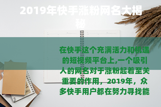 2019年快手涨粉网名大揭秘