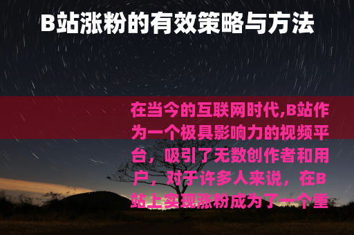 B站涨粉的有效策略与方法
