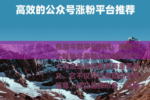 高效的公众号涨粉平台推荐