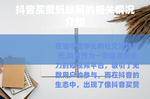 抖音买赞蚂蚁网的相关情况介绍